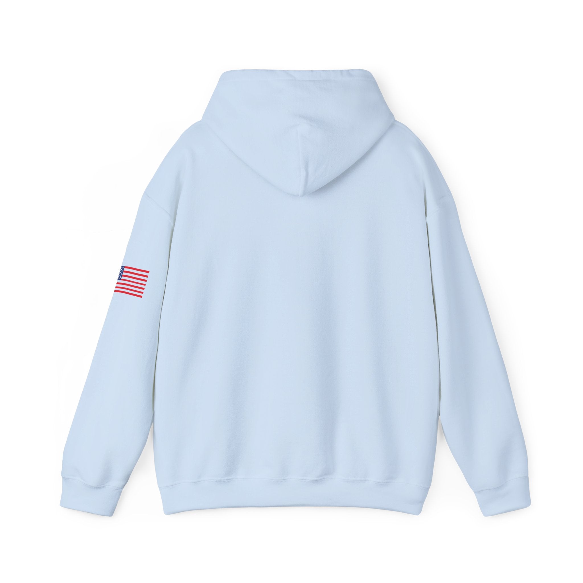Texas The Lone Star State Heavy Blend Hooded Sweatshirt