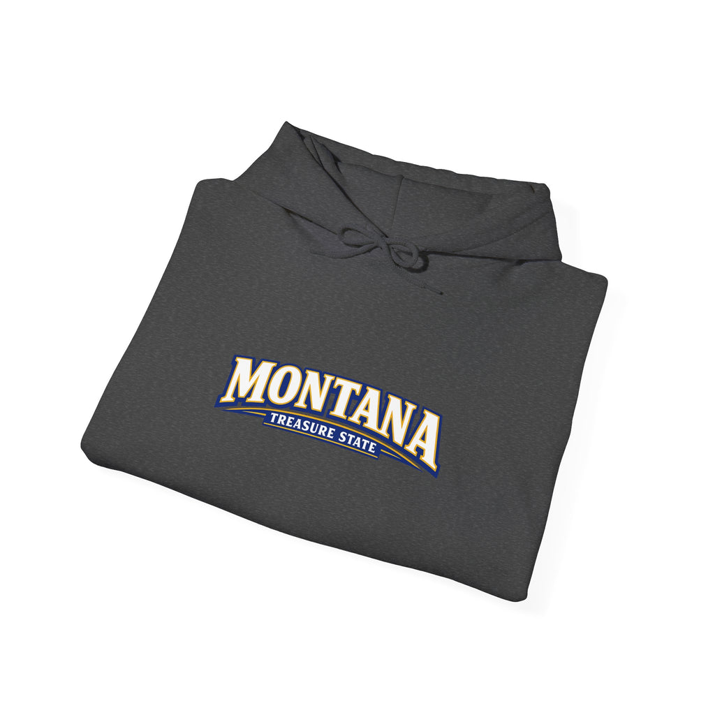 Montana Treasure State Heavy Blend Hooded Sweatshirt