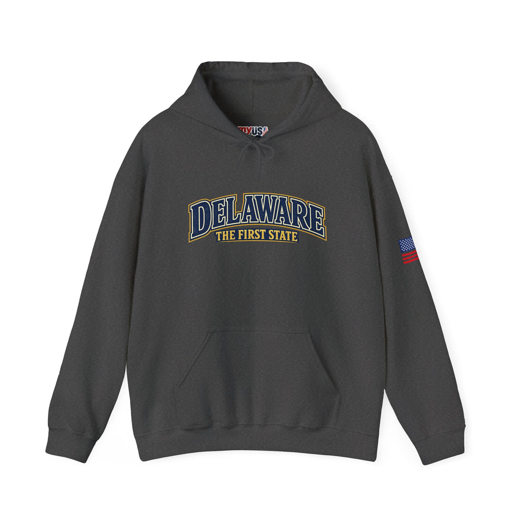 Delaware The First State Heavy Blend Hooded Sweatshirt