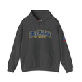 Delaware The First State Heavy Blend Hooded Sweatshirt
